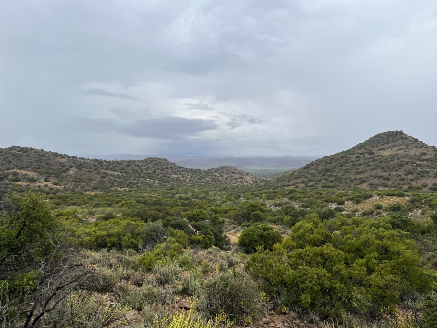 0 Bedroom Property for Sale in Ladismith Western Cape
